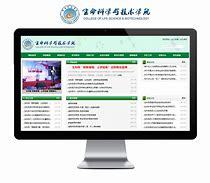 绵阳网站建设工作室_四川刚入编的教师工资