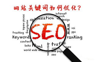 成都专业的seo优化公司