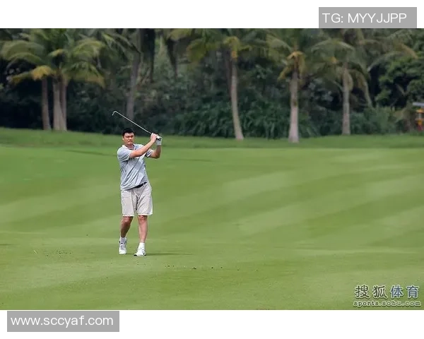 姚明篮球实战技巧解析与训练方法分享助你提升球技 姚明篮球实战技巧解析与训练方法分享助你提升球技